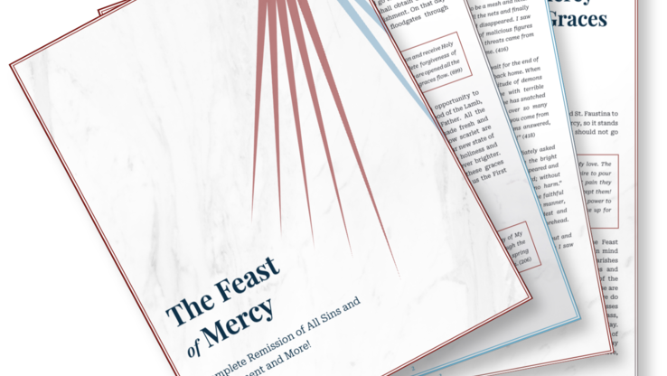 Preview of Feast Of Mercy eBook